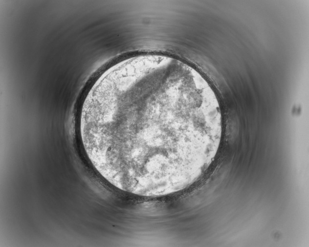 X0000101960584200808151317