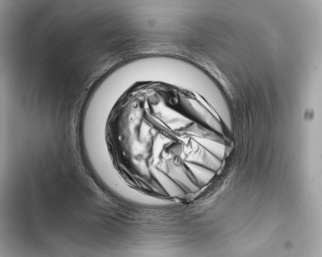 X0000101960585200808151317