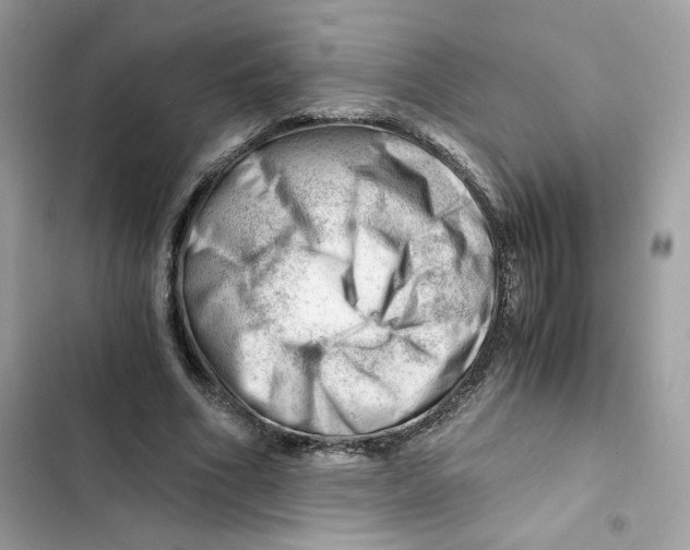 X0000101960586200808151317