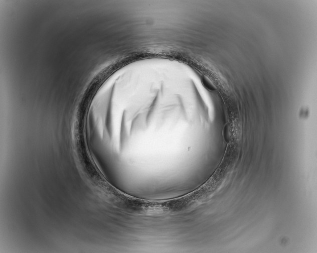 X0000101960587200808151317