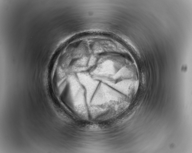 X0000101960588200808151317