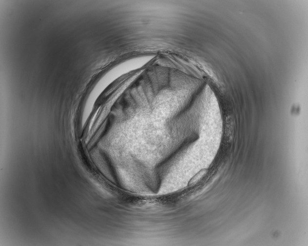 X0000101960589200808151317