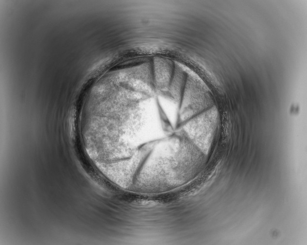 X0000101960590200808151317