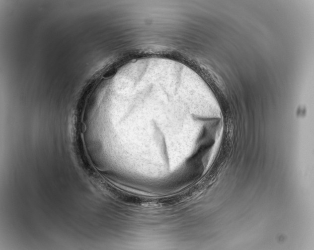 X0000101960591200808151317