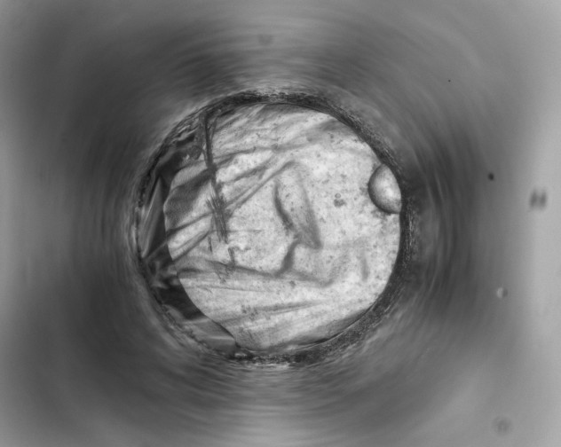X0000101960592200808151317