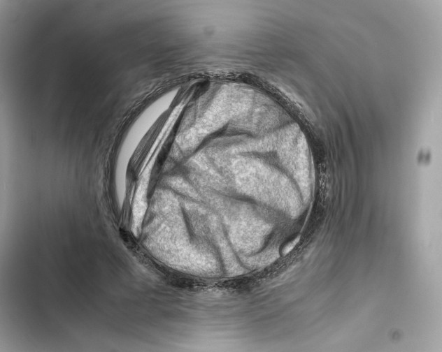 X0000101960593200808151317