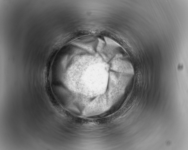 X0000101960594200808151317
