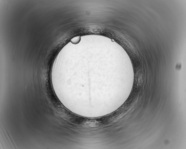 X0000101960595200808151317