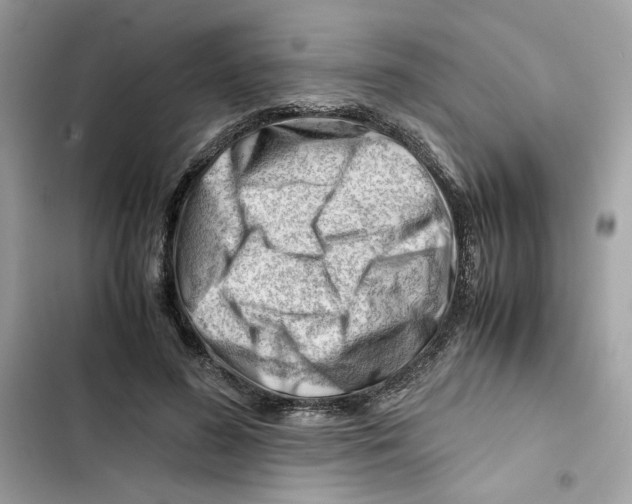 X0000101960596200808151317