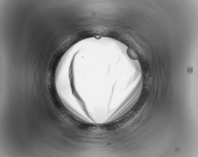 X0000101960597200808151317