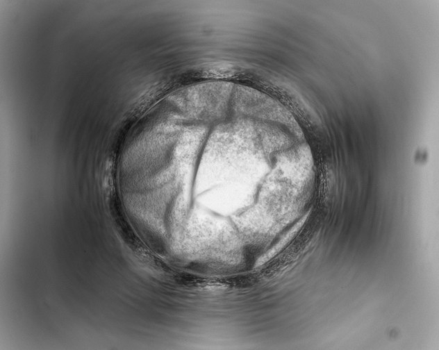X0000101960598200808151317
