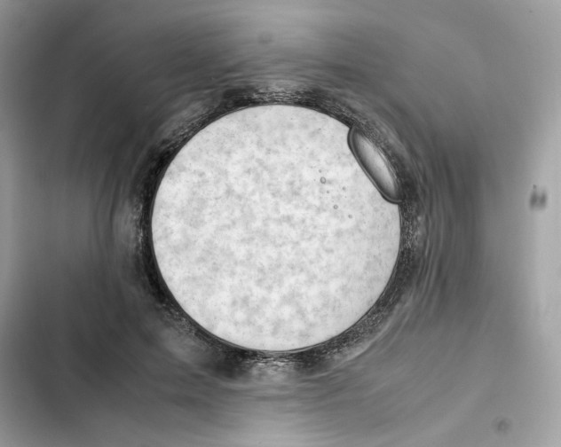 X0000101960599200808151317