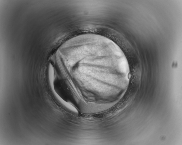 X0000101960600200808151317