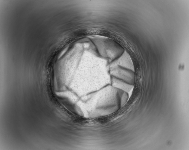 X0000101960601200808151317