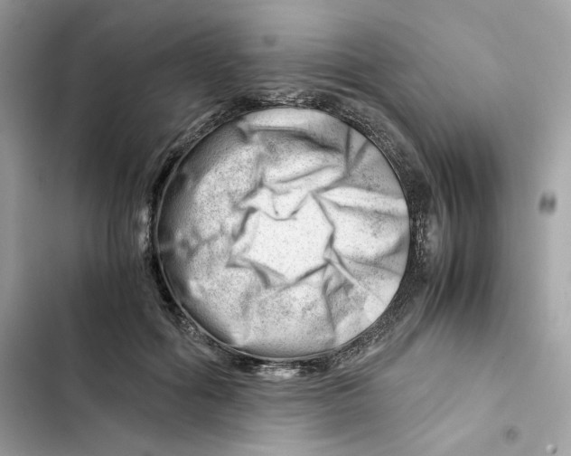 X0000101960602200808151317