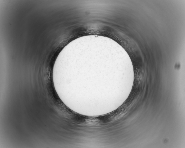X0000101960603200808151317