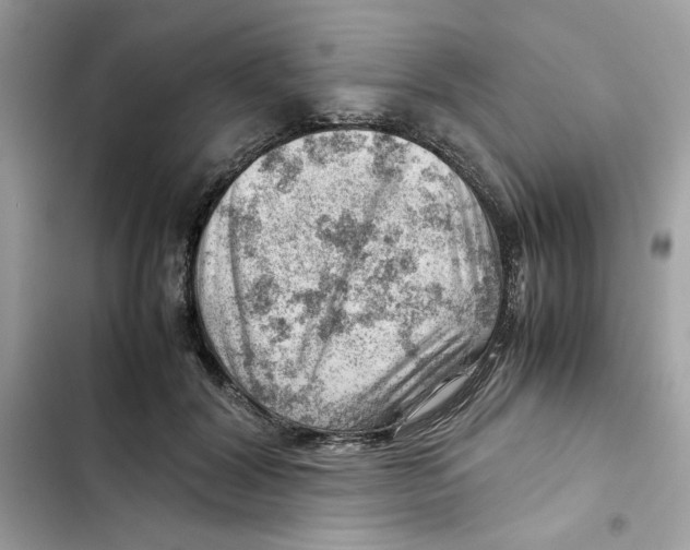 X0000101960604200808151317