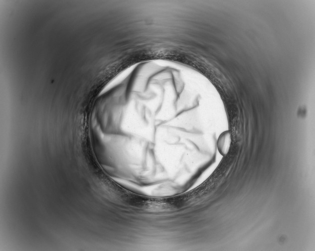 X0000101960605200808151317