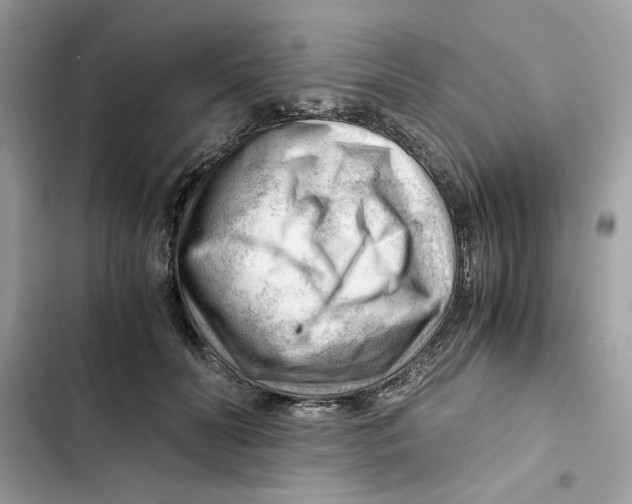 X0000101960606200808151317