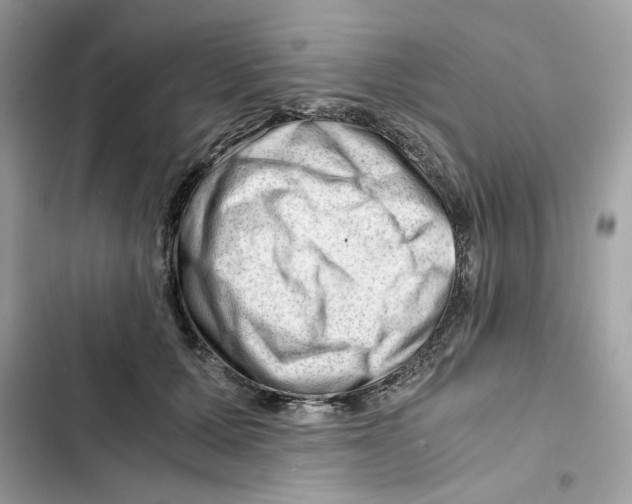 X0000101960607200808151317