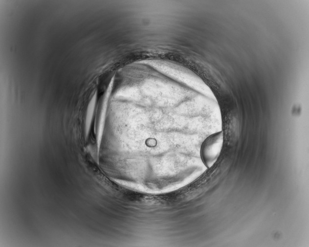 X0000101960608200808151317
