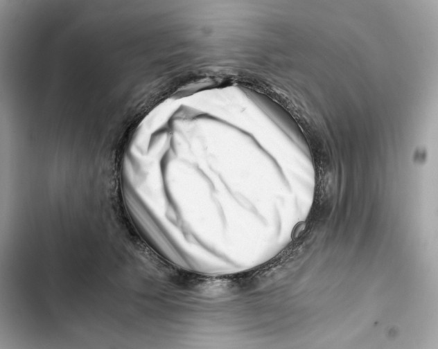 X0000101960609200808151317