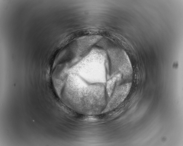 X0000101960610200808151317