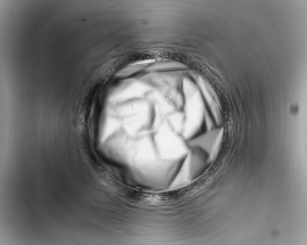X0000101960611200808151317