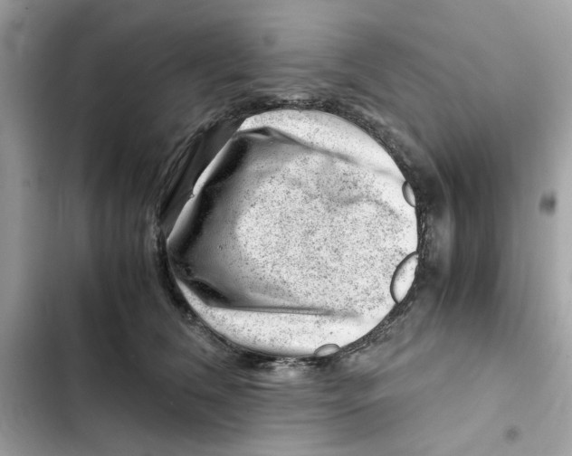 X0000101960612200808151317