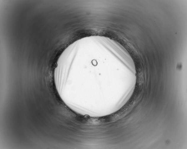 X0000101960613200808151316
