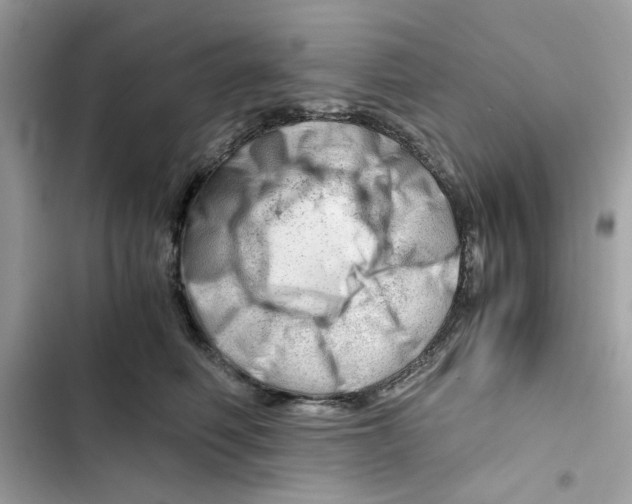X0000101960614200808151316