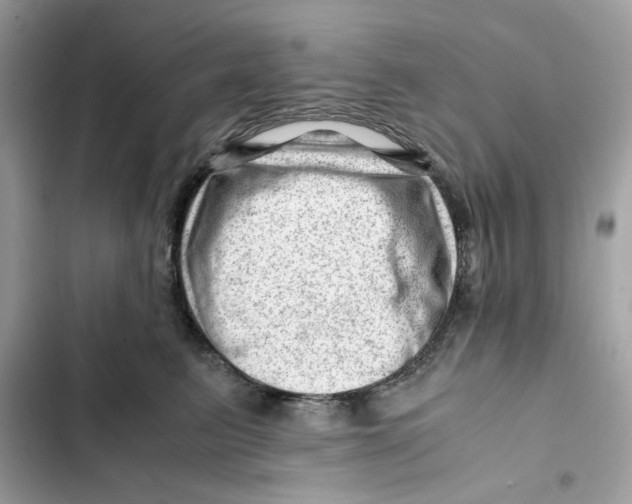 X0000101960615200808151316