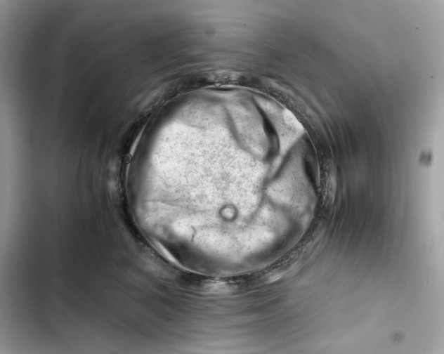 X0000101960616200808151316