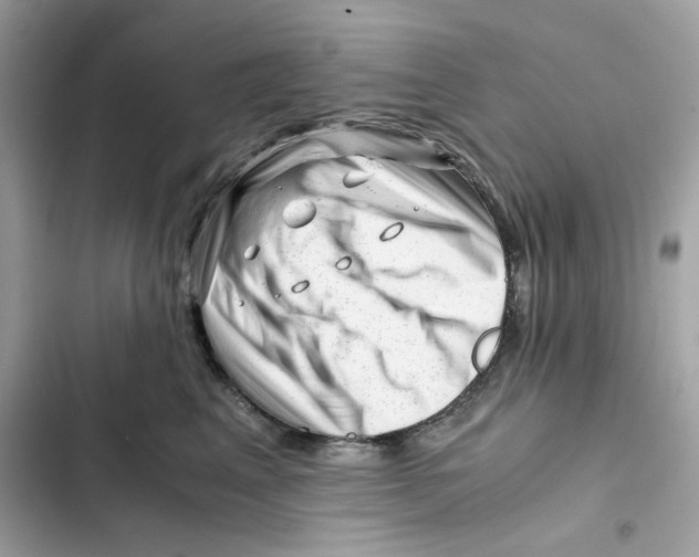 X0000101960617200808151316