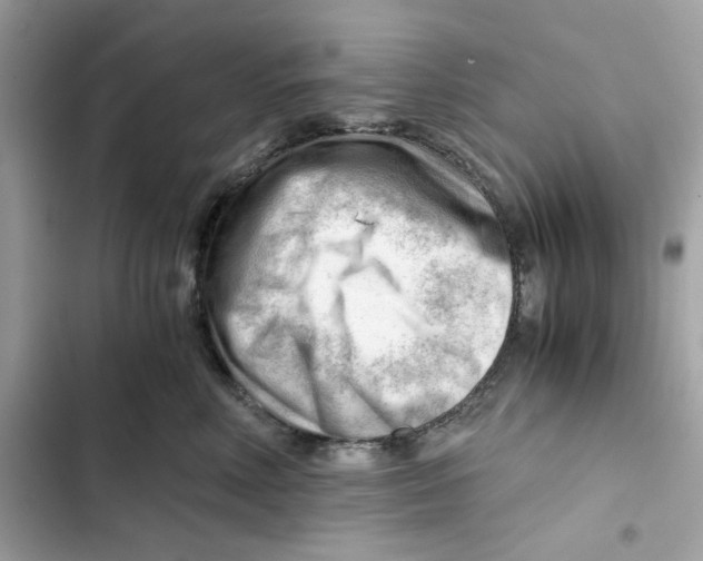 X0000101960618200808151316