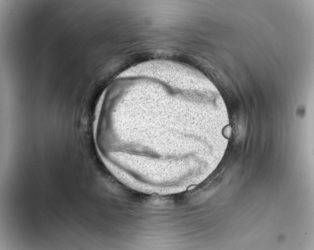 X0000101960619200808151316