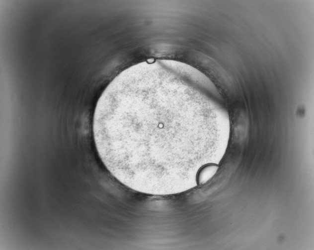 X0000101960620200808151316