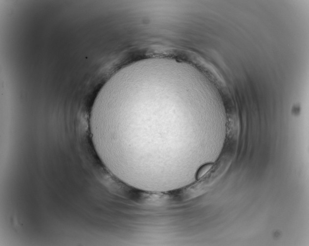 X0000101960621200808151316