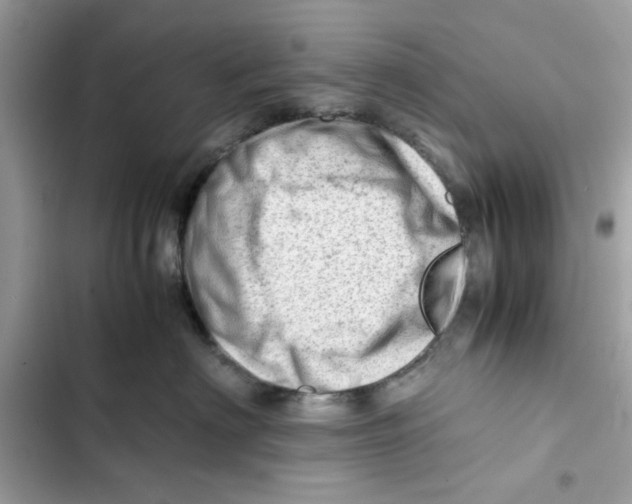 X0000101960622200808151316