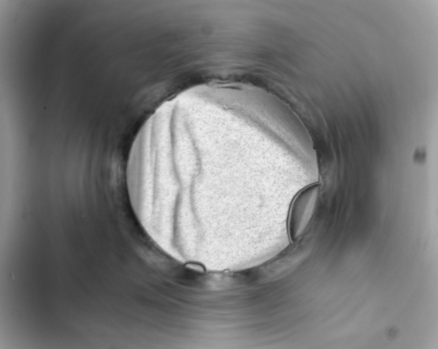 X0000101960623200808151316