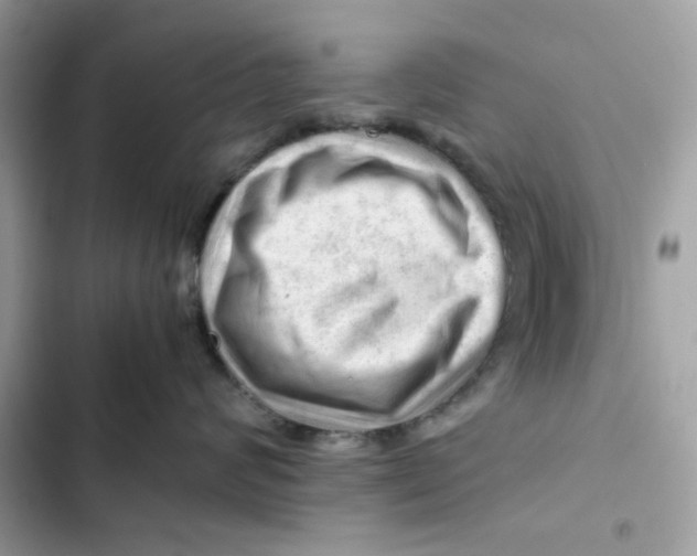 X0000101960624200808151316