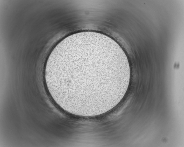 X0000101960625200808151316