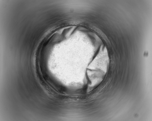 X0000101960626200808151316