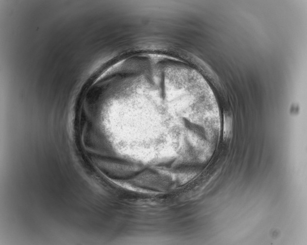 X0000101960627200808151316