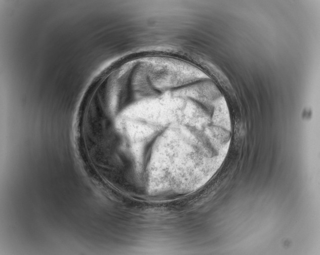 X0000101960628200808151316