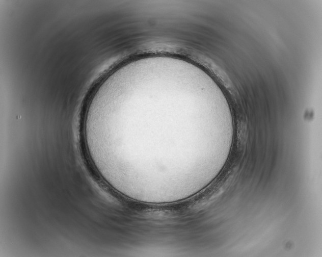 X0000101960629200808151316