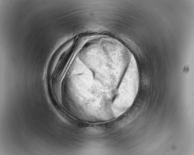 X0000101960630200808151316