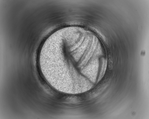 X0000101960631200808151316