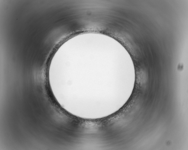 X0000101960632200808151316