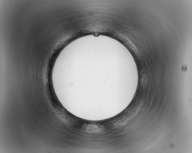 X0000101960635200808151316